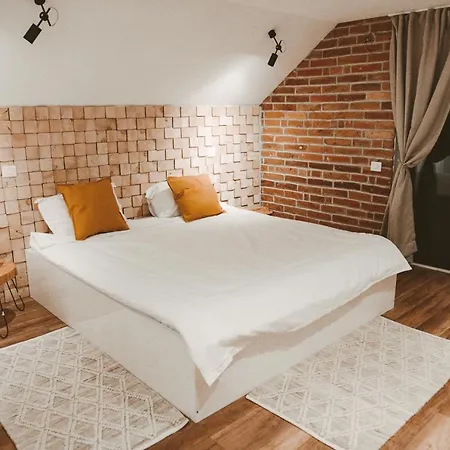 Casa Din Gradina Guest house Voivodeni