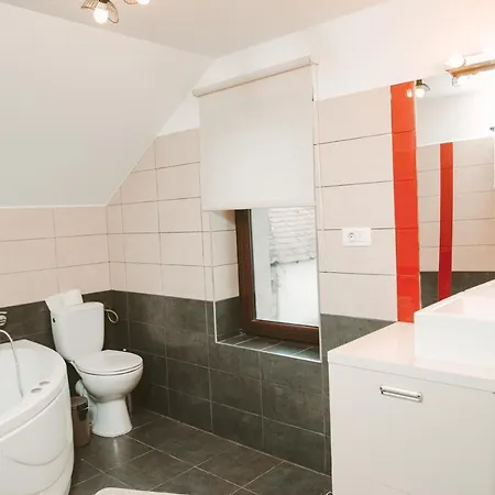 Casa Din Gradina Guest house